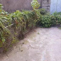سوییت اجاره ای|اجارهٔ کوتاه‌مدت آپارتمان و سوئیت|رودسر, |دیوار