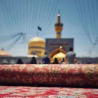 تورریلی مشهد/تنوع هتلی بالا