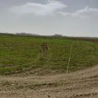 زمین زراعی|فروش زمین و ملک کلنگی|تهران, پردیسان|دیوار