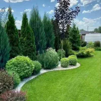 کلیه خدمات فضای سبز وآبیاری قطره ای در کرج و تهران|خدمات باغبانی و درختکاری|کرج, کمال‌شهر|دیوار