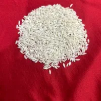 برنج عنبر بو شوشتر|خوردنی و آشامیدنی|قم, ارم|دیوار