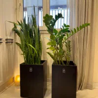 گلدان طبیعی