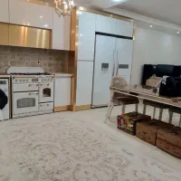 مهتاب-فول-سندتک-برگ