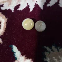 مهره رزق سلیمانی