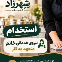 استخدام نیروی خدمات