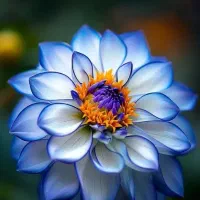 ادیتور و عکاس خانم نیازمندیم