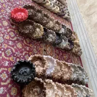 جا سیگاری حراج واقعی|زیورآلات و اکسسوری|کاشان, پاپک|دیوار