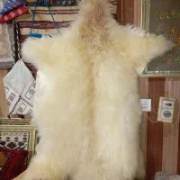 پوست|پادری|آق قلا, |دیوار