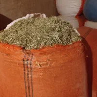 شبدر تمیز وپاک کامواشده