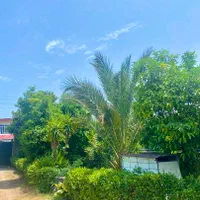 اجاره ویلا چمخاله