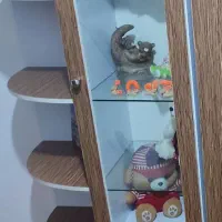 قفسه در حد نو