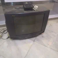 تلوزیون