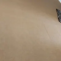 موکت سالم
