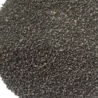 سیاهدانه سیاه دانه|خوردنی و آشامیدنی|اصفهان, بهارستان|دیوار