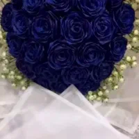 هدیه روز مرد،کادو های عروسکی،گل های رز|اسباب‌‌بازی|اردبیل, |دیوار