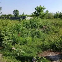 زمین ۲۵۰ متری فخب