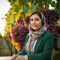 فروش نهال بیدمجنون گردو بادام البالو گلابی گلدانی