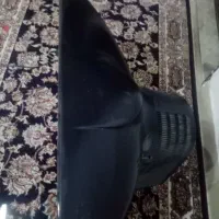 تلویزیون ال جی|تلویزیون و پروژکتور|گلبهار, شهر جدید گلبهار|دیوار