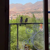 فروش اپارتمان اداری ۷۸ متر ویو ابدی|فروش دفتر کار، اتاق اداری، مطب|کرج, عظیمیه|دیوار