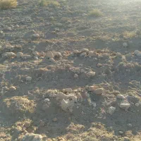 15هکتار زمین با یک حلقه چاه|اجارهٔ دفتر صنعتی، کشاورزی، تجاری|شیروان (لرستان), |دیوار