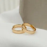 گوشواره های طرح طلا (قیمت عالی)|بدلیجات|تهران, کوی نصر مهرآباد|دیوار