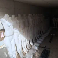 مانکن و چوب لباسی