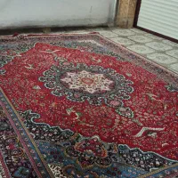 فرش ۱۲ متری|فرش|ساوه, |دیوار