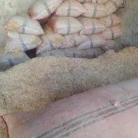 کاه مرغوب|لوازم جانبی حیوانات|کازرون, |دیوار