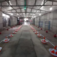 تجهیزات پرورش (بوقلمون)