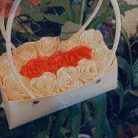 گل رز جاودان
