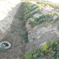 فروش باغ انگور|فروش زمین و ملک کلنگی|چهاربرج, |دیوار