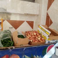 طبق میوه فروشی|فروشگاه و مغازه|قم, بنیاد|دیوار