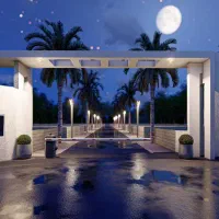 عزیزانی که زمین کلبه ای میخاستین/تودل جنگل آوردم|فروش زمین و ملک کلنگی|چمستان, |دیوار