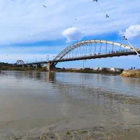 عقیقه انگشتر|کلکسیون اشیاء عتیقه|پردیس, فاز ۴|دیوار