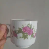 ظرف غذا خوری|ظروف سرو و پذیرایی|کاشان, خزاق|دیوار