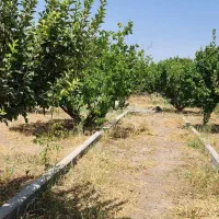 معاوضه با ماشین باغ زمین۵۰۰ مترطالقان قولنامه