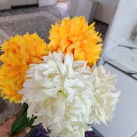 ده شاخه گل خارجی