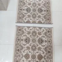 دو عدد پادری  نو هستن