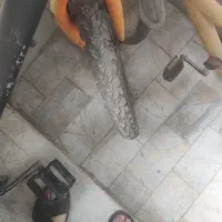 دو عدد دوچرخه|دوچرخه، اسکیت، اسکوتر|قدس, شهر‌قدس|دیوار