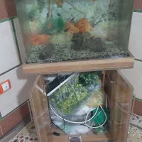 آکواریوم شیشه خم|ماهی|ورامین, شهرک مدرس|دیوار