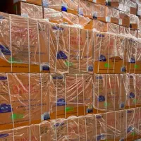 کولر گازی  اسپلیت اصلی خرید مستقیم از بانه