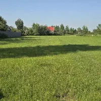 زمین زراعی داخل طرح