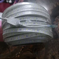ریسه نواری