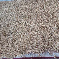 فروش انواع انجیر|خوردنی و آشامیدنی|استهبان, |دیوار