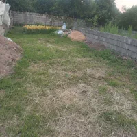 زمین عباس آباد/شجاع محله/بعد از مسجد/کوچه یاس ۴