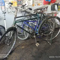 دوچرخه12فنردار|دوچرخه، اسکیت، اسکوتر|فردیس, منظریه|دیوار