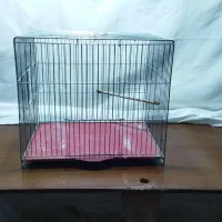 قفس عروس هلندی و مرغ عشق|لوازم جانبی حیوانات|لالجین, |دیوار