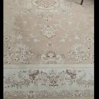 قالی ۱۲متری