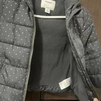 کاپشن|لباس|بروجرد, |دیوار