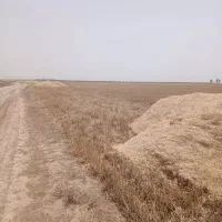 کاه فروشی